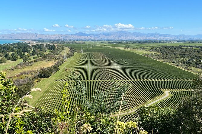 Marlborough Wine Region Tour from the Port of Picton - Nautilus gives you boutique choices under the pin oaks
