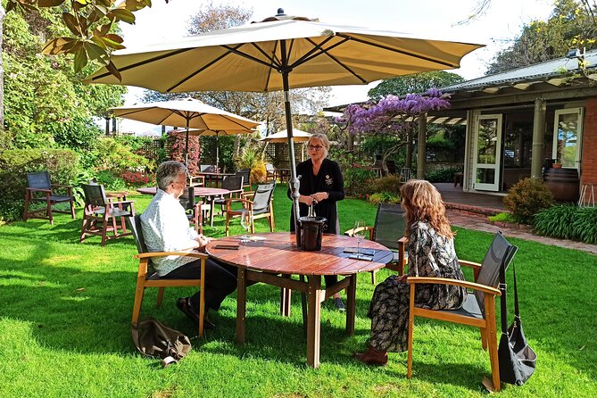 Marlborough Wine Tour - Afternoon Sippers of Wine Only 4hrs - What the tour does especially well