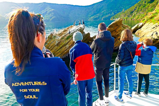 Marlborough Wine Tour - Picton Cruise Ship Shore Excursion Tour - Lunch is flexible, but you pay separately