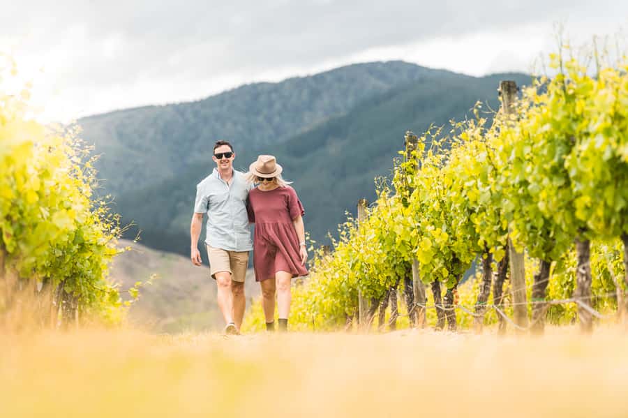 Marlborough: Wineries Visit and Tasting Session - Key points at a glance