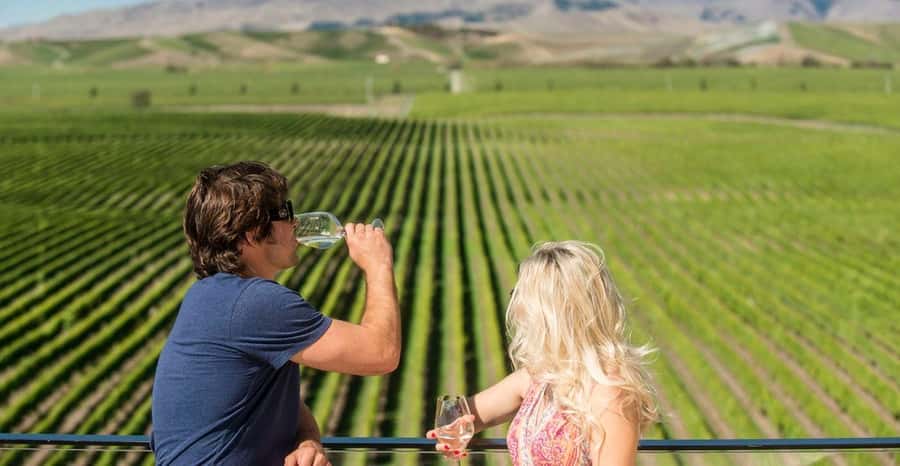 Marlborough: Wineries Visit and Tasting Session - The middle stop: smaller producers and more personal service