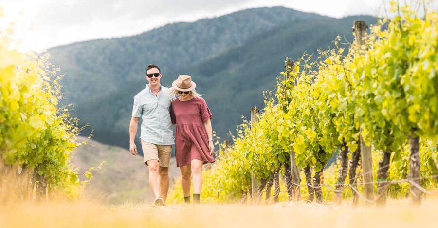 Marlborough: Wineries Visit and Tasting Session - Transport, pickup, and group size