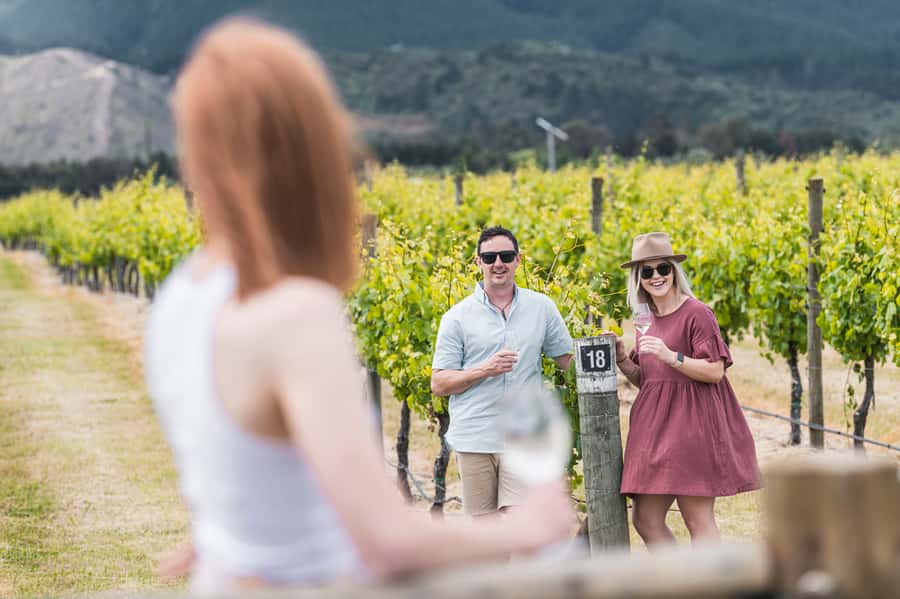 Marlborough: Wineries Visit with Tastings and 2-Course Lunch - Key points at a glance