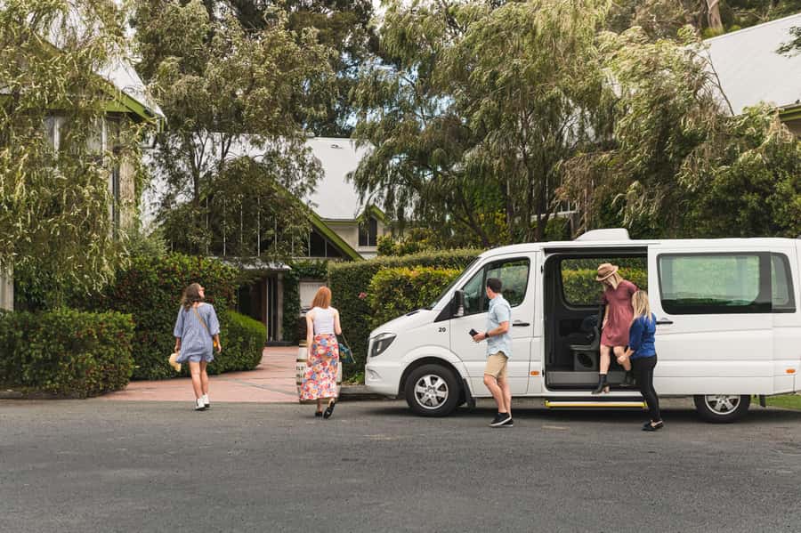 Marlborough: Wineries Visit with Tastings and 2-Course Lunch - Practical booking advice for Blenheim and Picton