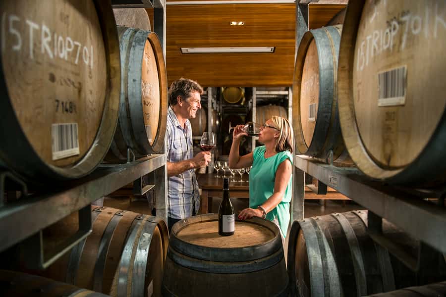 Marlborough: Wineries Visit with Tastings and 2-Course Lunch - The Marlborough countryside between cellar doors
