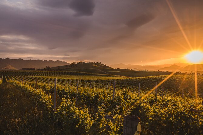 Marlborough Winery Tour - A Day of Cuisine & Wine 6hrs - Starting at 10:30 in Blenheim