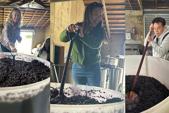 Martinborough Chefs shared wine tour ŵ lunch from Wellington - Key details that shape the day