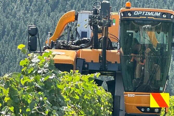 Martinborough Chefs shared wine tour ŵ lunch from Wellington - Timing, cancellation, and practical planning