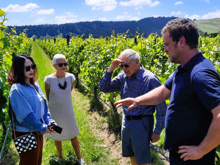 Martinborough Wine and Food Tour with Lunch from Wellington - Key points at a glance