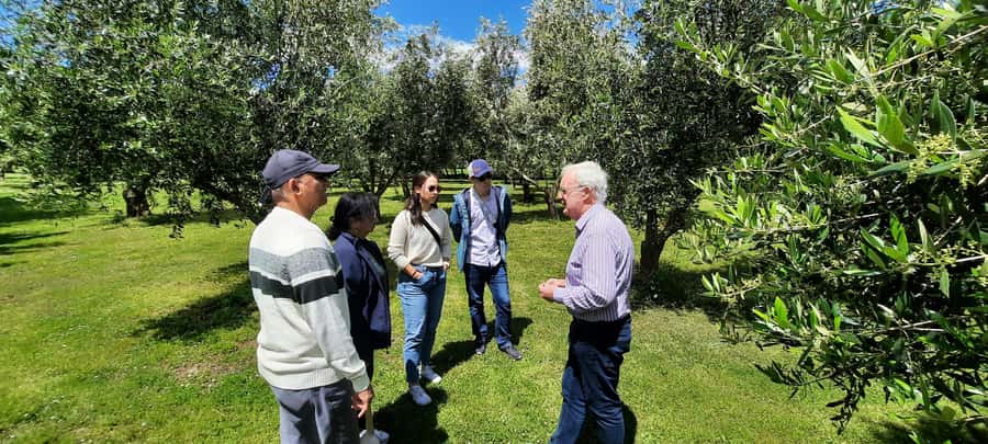 Martinborough Wine and Food Tour with Lunch from Wellington - Who should book this tour?