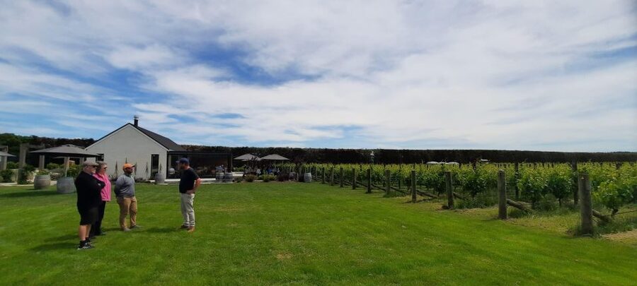 Martinborough Wine and Food Tour with Lunch from Wellington - Four craft beers at Martinborough Brewery