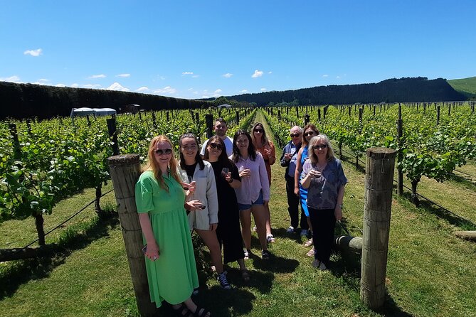Martinborough Wine and Wild Coast Tour from Wellington - Fur Seals and Cape Palliser Lighthouse