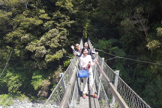Martinborough Wine and Wild Coast Tour from Wellington - Greytown Adds Cheese and Chocolate