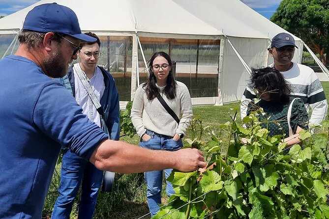 Martinborough Winery and Foodie Day Tour with vineyard lunch - Martinborough Brewery and the four-beer paddle