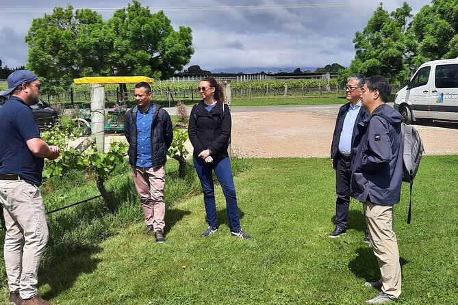 Martinborough Winery and Foodie Day Tour with vineyard lunch - What $197.34 really includes