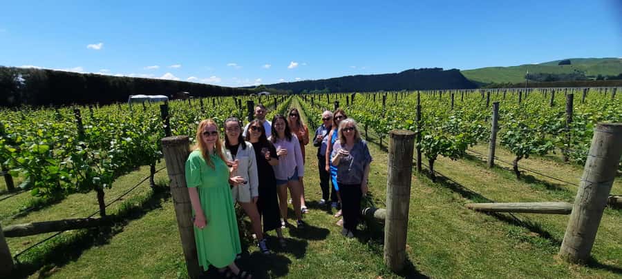 Martinborough Winery and South Wairarapa Wild Coast Tour - Ngawi shows a working fishing village
