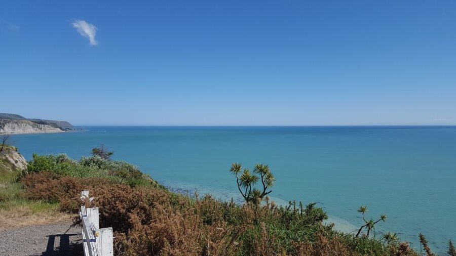 Martinborough Winery and South Wairarapa Wild Coast Tour - Cape Palliser Lighthouse rewards steady legs