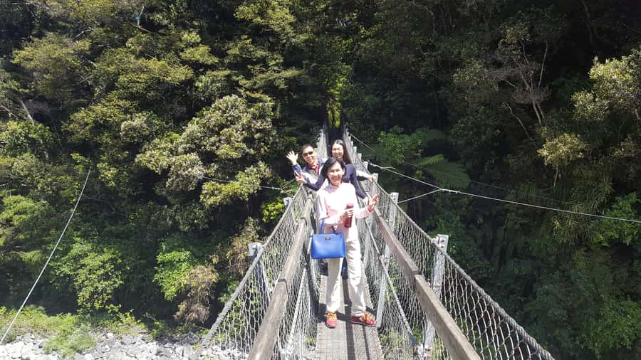 Martinborough Winery and South Wairarapa Wild Coast Tour - Kaitoke Regional Park starts the day among native trees
