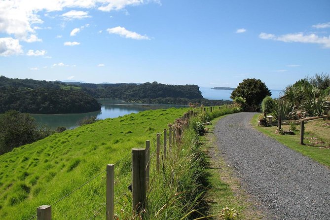 Matakana Scenic Coastal Getaway from Auckland - What makes this Matakana day special