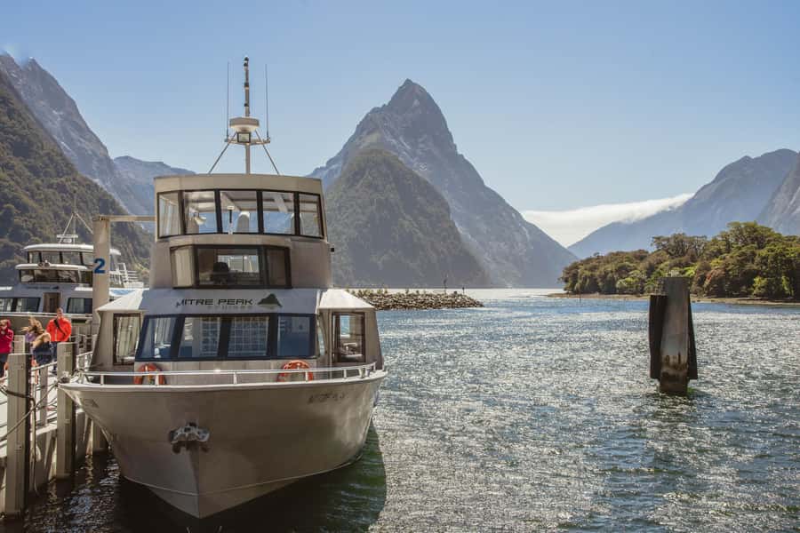 Milford Sound: 2-Hour Small Boat Scenic Cruise - Seal Rock and the search for wildlife