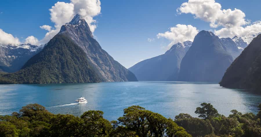 Milford Sound: Boutique Small-Boat Cruise - Comfort, space, and what to wear