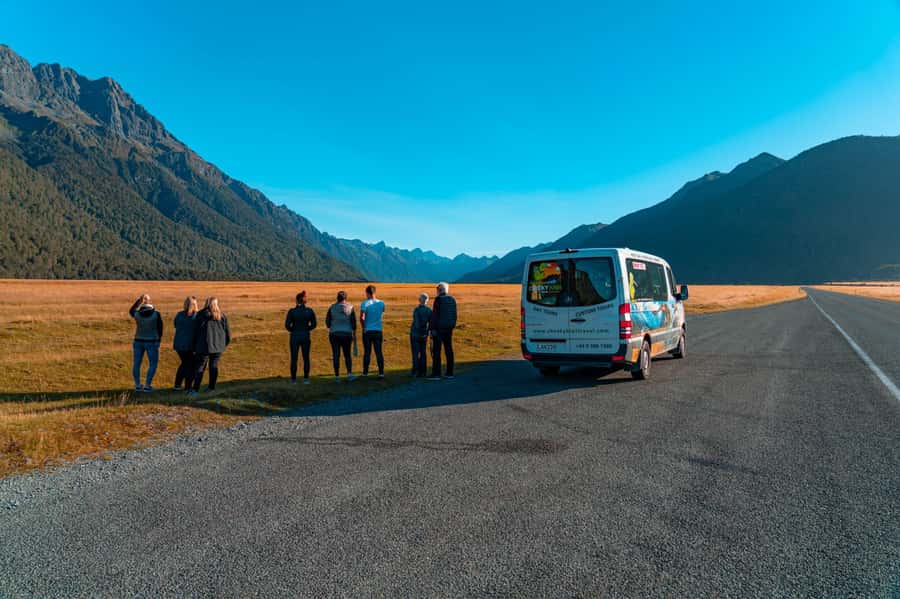 Milford Sound: Boutique Small-Boat Cruise - Is $101 good value?