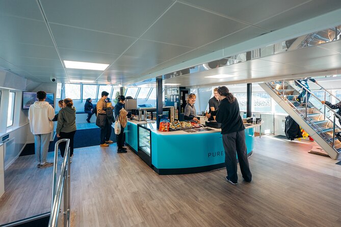 Milford Sound Coach and Cruise tour from Queenstown - Who Will Get the Most from This Tour?