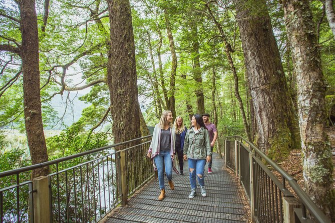 Milford Sound Coach and Cruise tour from Queenstown - Through Fiordland National Park and the Homer Tunnel