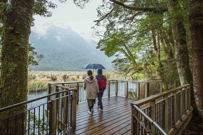 Milford Sound Coach & Cruise Tour from Te Anau - The main drawbacks to consider