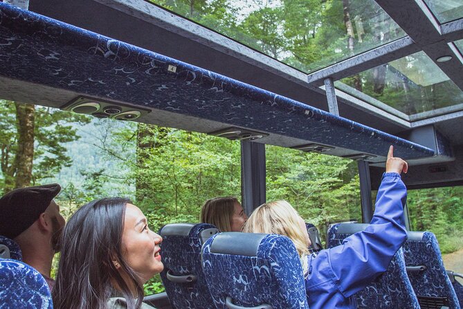 Milford Sound Coach & Cruise Tour from Te Anau - Two hours on the Milford Sound cruise