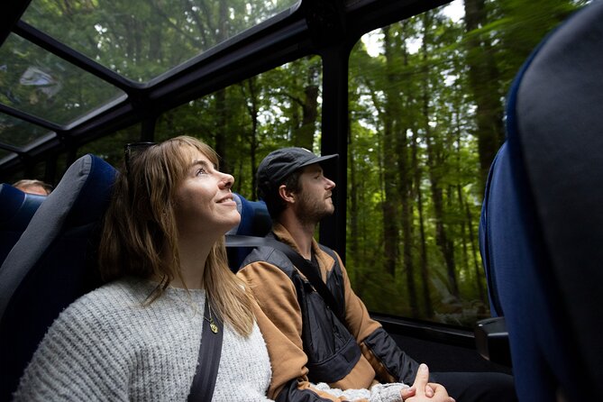 Milford Sound Cruise from Queenstown or Te Anau - Rain, waterfalls, and the question of weather