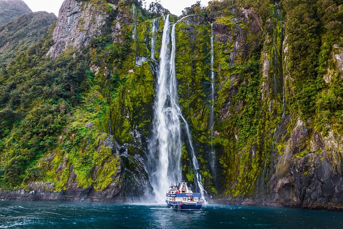 Milford Sound Cruise from Queenstown or Te Anau - Who will enjoy this trip most?