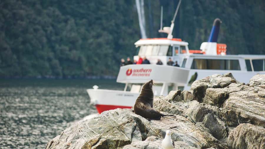 Milford Sound: Discover More on Our Longest Cruise - Why the 135-minute cruise matters