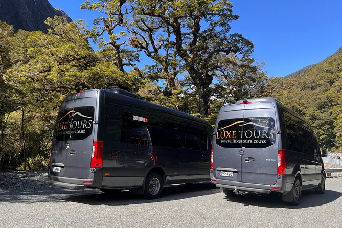 Milford Sound Full Day Tour from Te Anau with Cruise - Mirror Lakes: a short walk with a clear payoff
