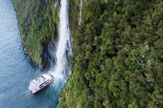 Milford Sound Luxury Lunch Cruise onboard The Fiordland Jewel - Wildlife watching with a local voice
