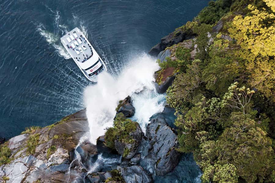 Milford Sound: Nature Cruise - Grand Views & Optional Lunch - Arriving at Milford Sound From Queenstown or Te Anau