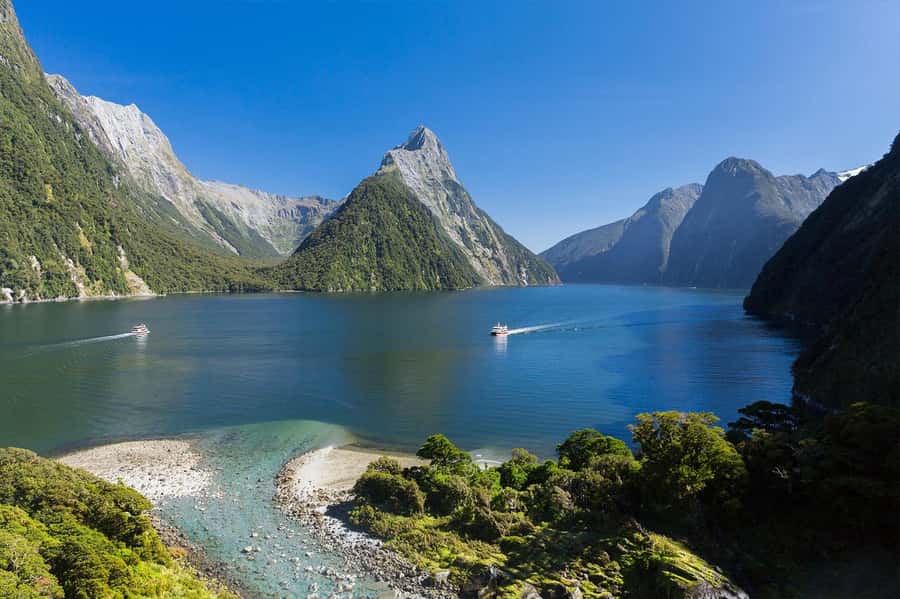 Milford Sound: Nature Cruise & Milford Track Walk - Key points at a glance
