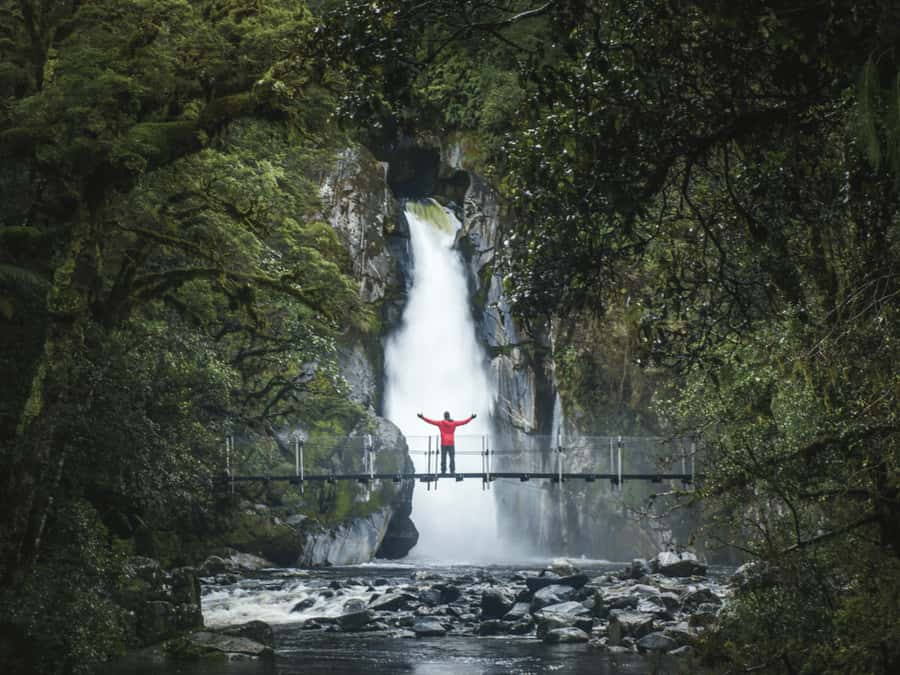 Milford Sound: Nature Cruise & Milford Track Walk - The return to Deepwater Basin