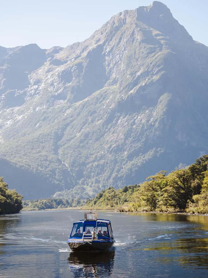 Milford Sound: Nature Cruise & Milford Track Walk - Cruising beneath Mitre Peak and Stirling Falls