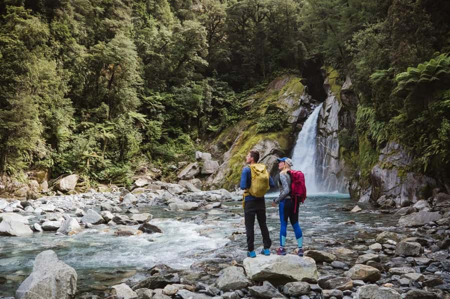 Milford Sound: Nature Cruise & Milford Track Walk - Is $133 good value?