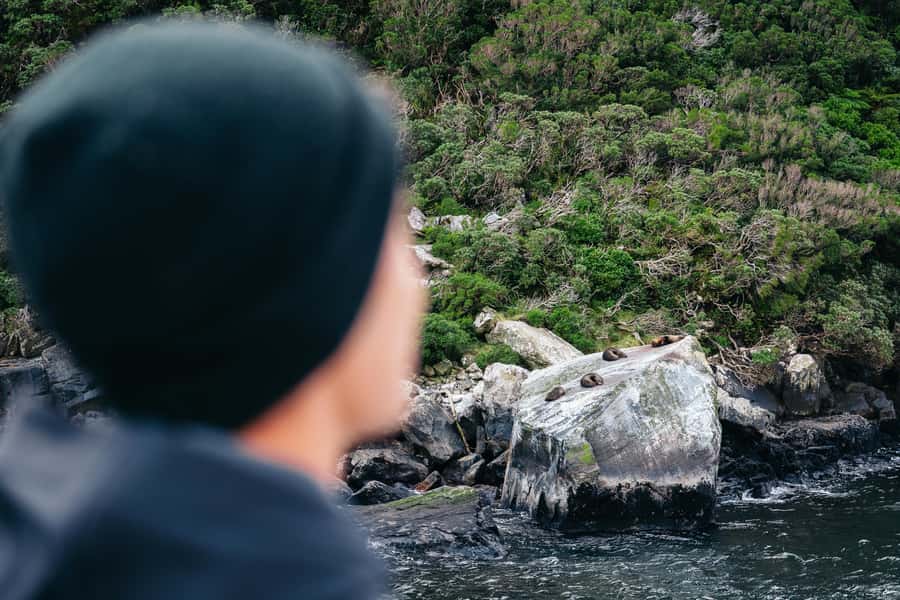 Milford Sound: Nature Cruise on a Modern Catamaran - Waterfalls at close range