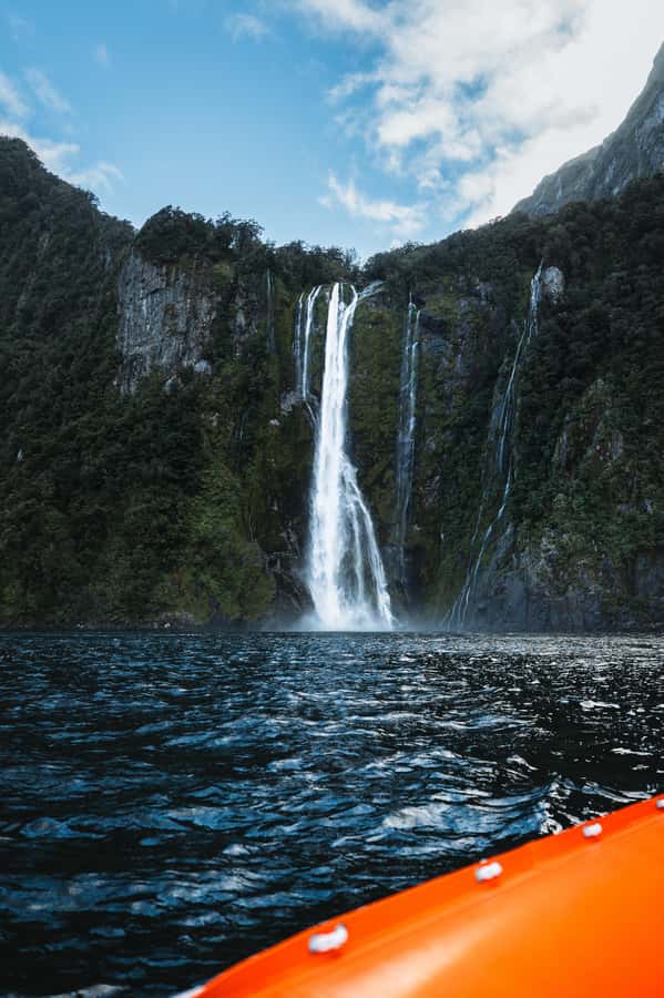 Milford Sound: Nature Cruise on a Modern Catamaran - Comfort, food, and drinks on board