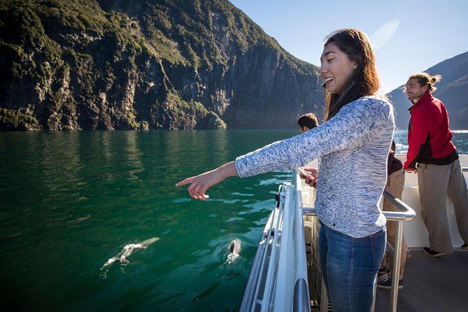 Milford Sound Nature Cruise with Southern Discoveries - Key points to know before you go