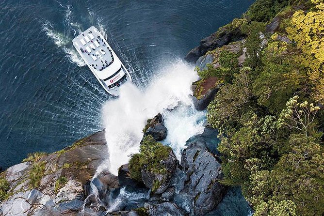 Milford Sound Premium Coach and Cruise with Lunch from Te Anau - Monkey Creek: water, kea, and the upper Hollyford Valley