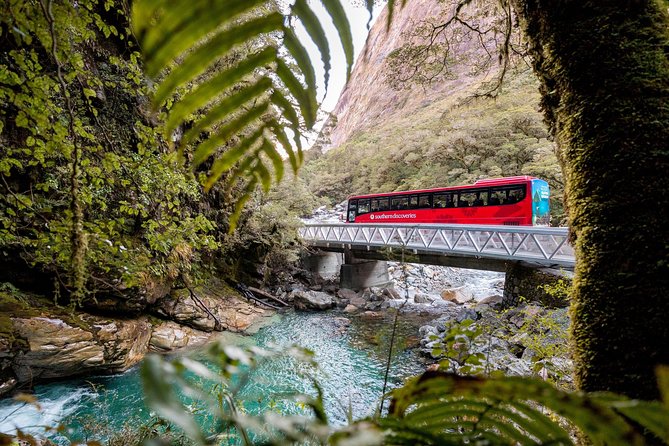 Milford Sound Premium Coach and Cruise with Lunch from Te Anau - Lake Gunn, the Cleddau River, and the Homer Tunnel