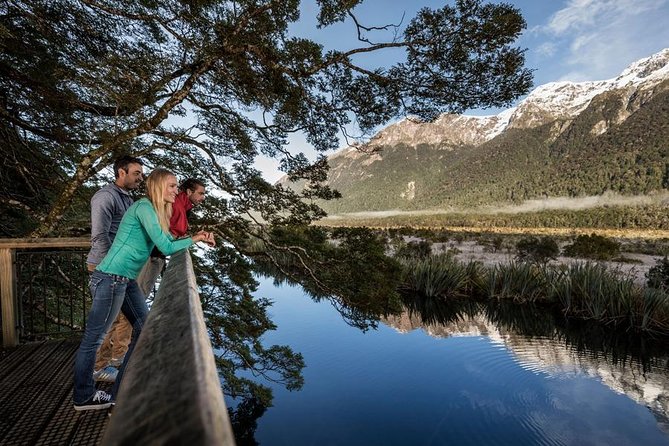 Milford Sound Premium Coach & Cruise from Queenstown with Lunch - Starting early in Queenstown