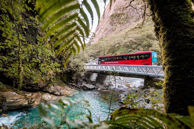 Milford Sound Premium Coach & Cruise from Queenstown with Lunch - Eglinton Valley and Lake Gunn