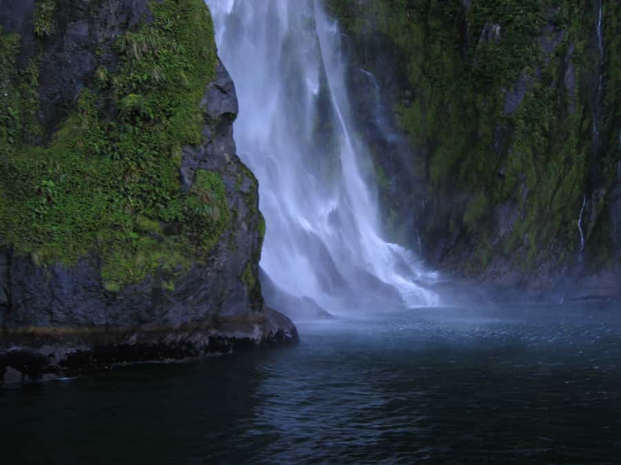 Milford Sound Premium Day Tour and Cruise from Te Anau - Why this Te Anau to Milford Sound trip works