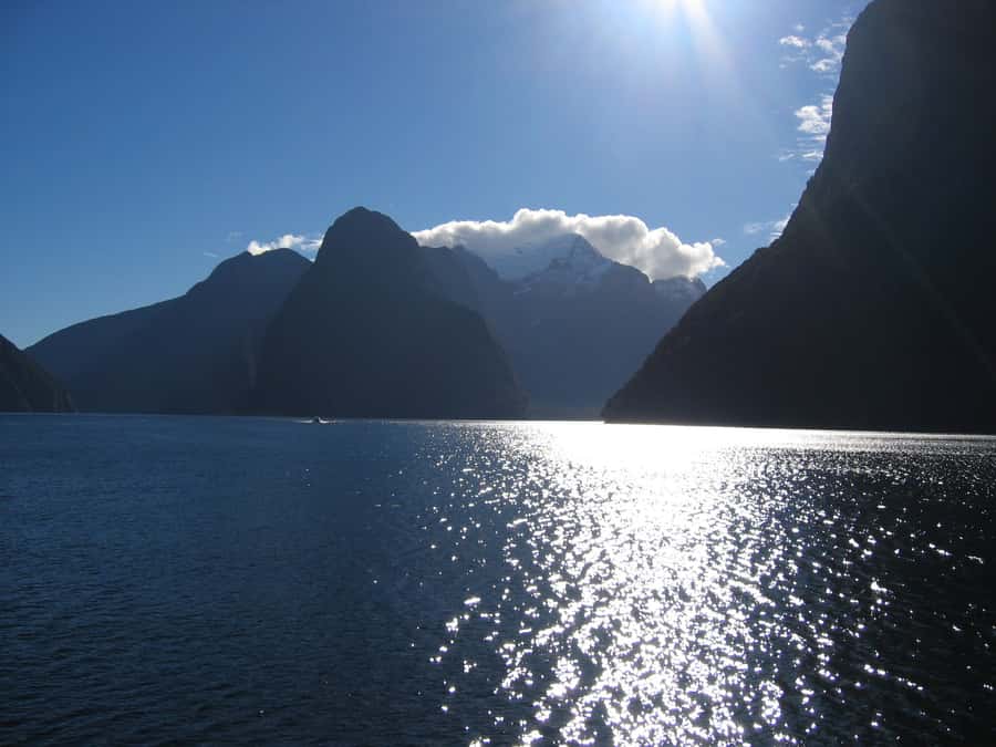 Milford Sound Premium Day Tour and Cruise from Te Anau - Arriving at Milford Sound without extra fuss