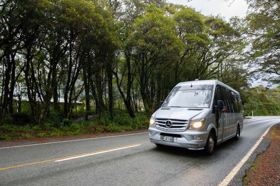 Milford Sound: Premium Small Group Tour from Queenstown - Should you book it?